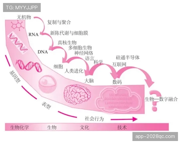 博尼法斯如何从无名之辈蜕变为锋线核心：生涯进化的关键跃迁
